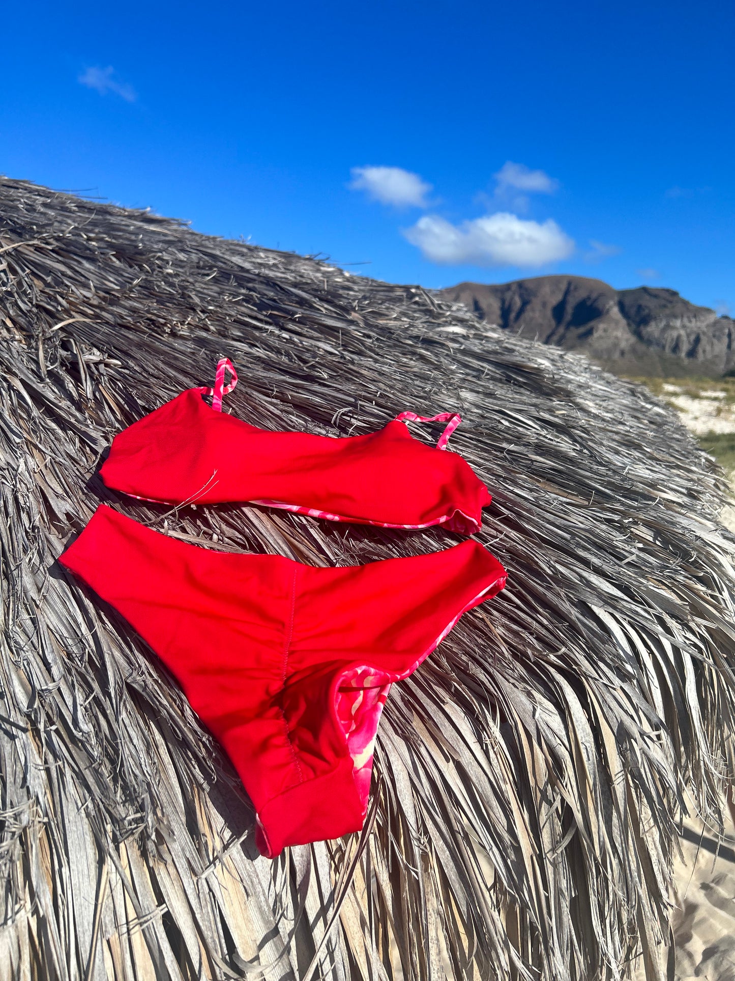 Bikini Rose